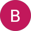 Brandon Johnson Avatar